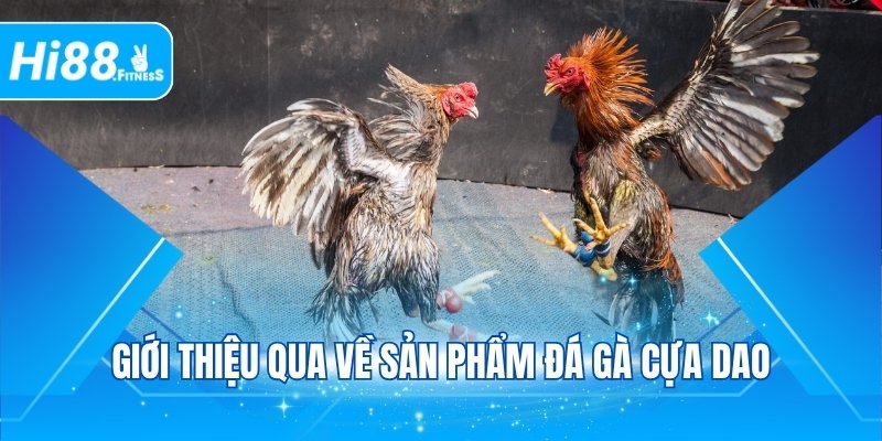 Giới thiệu qua về sản phẩm đá gà cựa dao