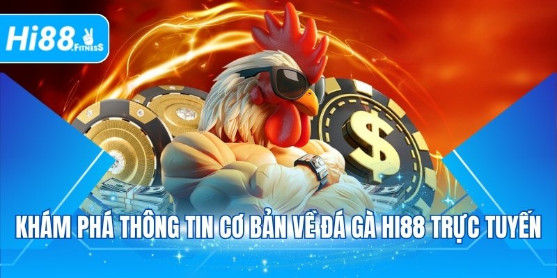 Khám phá thông tin cơ bản về đá gà Hi88 trực tuyến