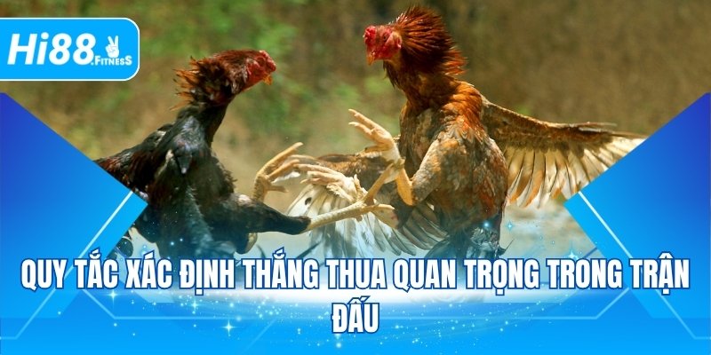 Quy tắc xác định thắng thua quan trọng trong trận đấu